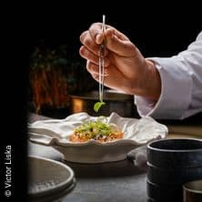 4-Gänge Gourmet Dinner im Bolena: Haubenküche in der Josefstadt