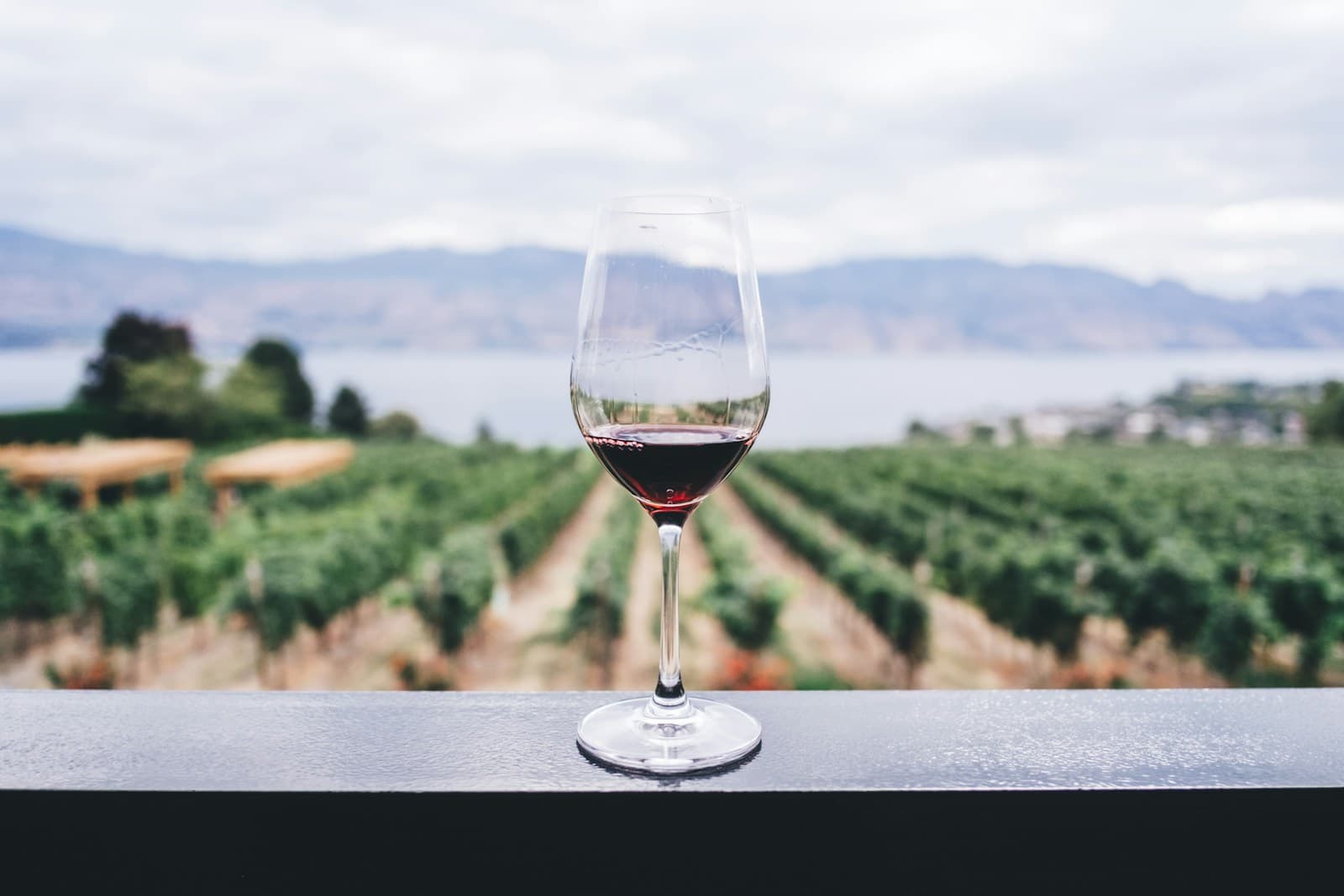 Retzer Weinlesefest 2027