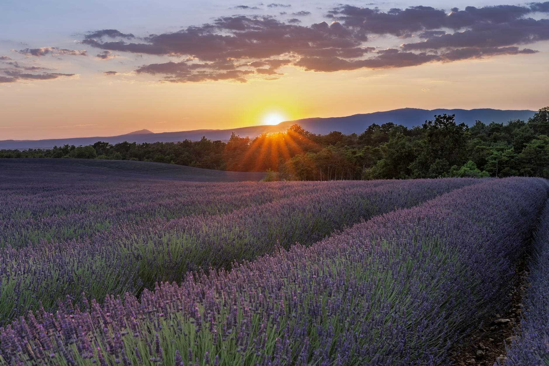 Kneipp-Aktiv-Club/ Gesunde Gemeinde - Naturkosmetik selbst gemacht