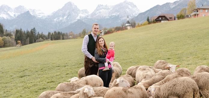 Von der Milch zum Käse - Führung | Verkostung