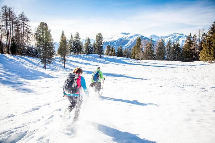 Schneeschuhwanderung zur Gogles Alm