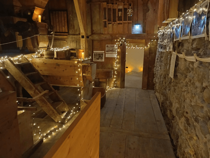 Adventmarkt mit Alpakawanderung